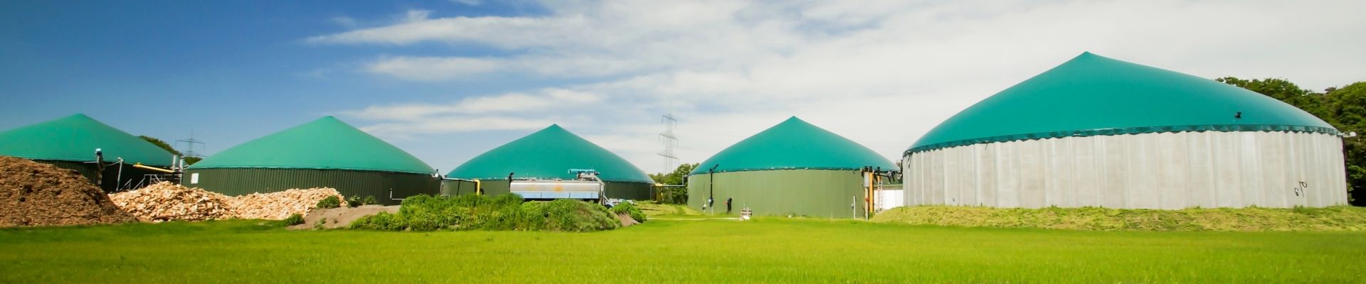 Red de centrales eléctricas formada por plantas de biogás