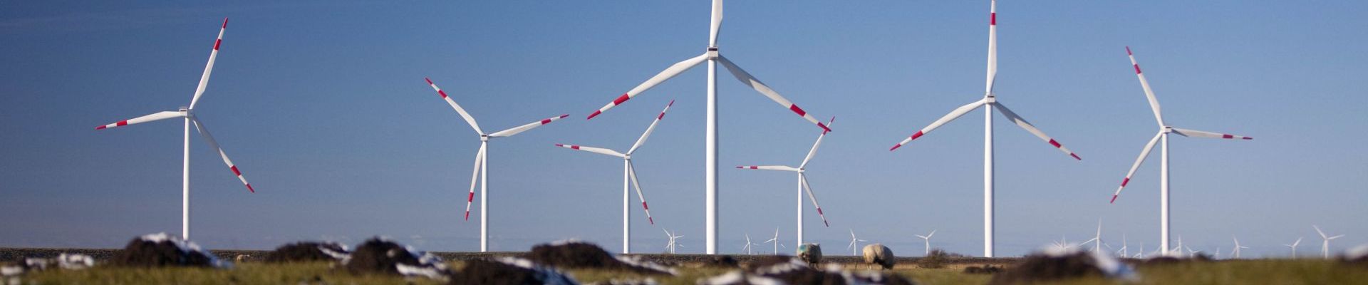 Wind farm in Germany provides ancillary services via virtual power plant