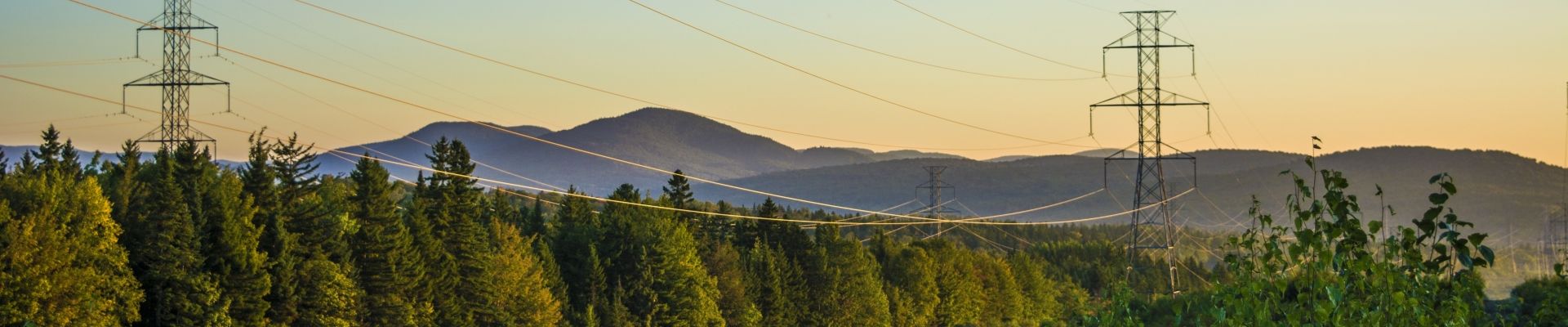 transmission line in the forest requires efficient monitoring