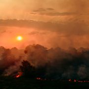 Les incendies de forêt affectent la production solaire en Allemagne
